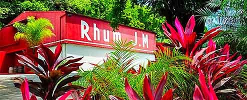 Rhum JM : Comment faire du rhum AOC Martinique ?
